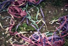 Έδεσσα: Μαχαίρωμα νεαρών στο καρναβάλι – Στο νοσοκομείο και οι δύο