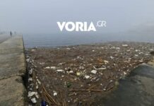 Θεσσαλονίκη: Ατελείωτη «χωματερή» ο Θερμαϊκός – Γέμισε με εκατοντάδες καλαμάκια και πλαστικές σακούλες