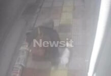 Περιστέρι: «Μου έκλεψε τον Λόκι και έσκισε και τις αφίσες του για να μην τον εντοπίσουμε», λέει η γυναίκα που της άρπαξαν τον σκύλο