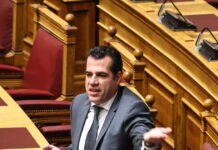 Θάνος Πλεύρης: Συνεργασία με τέσσερις χώρες για κέντρα επιστροφής μεταναστών εκτός ΕΕ
