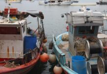 «Είχε 10 μποφόρ, παραλίγο να είχα πνιγεί»: Ψαράς κινδύνευσε για να σώσει τη βάρκα του στην Αστυπάλαια