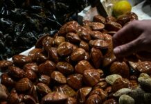 Καθαρά Δευτέρας: Το ωράριο λειτουργίας για Βαρβάκειο και Ρέντη – Ποια σουπερμάρκετ θα είναι ανοιχτά