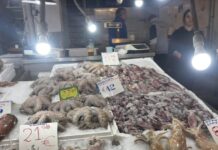 Καθαρά Δευτέρα: Μέχρι το μεσημέρι ανοιχτή η Βαρβάκειος και η Αγορά στου Ρέντη, κανονικά οι λαϊκές αγορές – Τι ισχύει για τα σούπερ μάρκετ