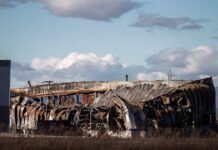 Βιολάντα: Οι εξηγήσεις του ιδιοκτήτη που «δεν έπεισαν» και οι μαρτυρίες – «Έμπαινα στην τουαλέτα με την μπλούζα στη μύτη μου από την οσμή»