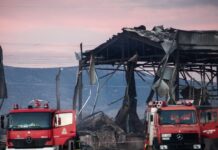 Βιολάντα: Οι 6 λόγοι που οδήγησαν στη σύλληψη του ιδιοκτήτη του εργοστασίου