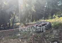 Χαλκιδική: Για πάνω από ένα χρόνο είχε αφεθεί σε χωράφι η μουμιοποιημένη σορός που βρέθηκε