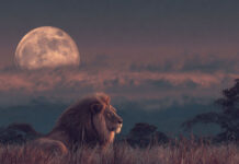 Τα ζώδια που θα έχουν απρόσμενες εξελίξεις την πρώτη εβδομάδα του Φεβρουαρίου