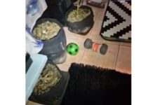 Αιγάλεω: Συνελήφθη οδηγός σχολικού να κάνει χρήση ναρκωτικών εν ώρα εργασίας – Βρέθηκε εργαστήριο κάνναβης στο σπίτι του