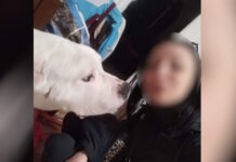 Κολωνός: Αναπάντητα ερωτήματα για την 31χρονη έγκυο που βρέθηκε νεκρή – Έχει προσαχθεί ο σύντροφός της