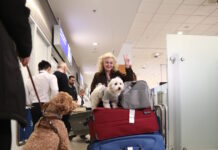 «Συγκινητικές σκηνές» στην Αθήνα – Μεγάλο ενδιαφέρον διεθνών ΜΜΕ για την ελληνική επιχείρηση επαναπατρισμού κατοικιδίων από τη Μέση Ανατολή