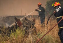 Φωτιά στη Σητεία, 15 πυροσβέστες και 2 ομάδες δασοκομάντο στη μάχη με τις φλόγες