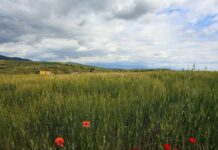 Καιρός αύριο: Υψηλές θερμοκρασίες και 6 μποφόρ στο Αιγαίο