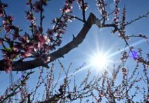 Καιρός αύριο: Ανοιξιάτικο σκηνικό με άνοδο της θερμοκρασίας