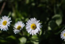 Καιρός σήμερα: Στους 20 βαθμούς θα σκαρφαλώσει η θερμοκρασία