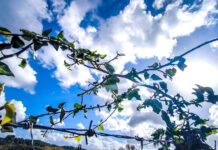 Καιρός αύριο: Λιακάδα με λίγη συννεφιά στο μεγαλύτερο μέρος της χώρας – Πιθανότητα βροχών στην Κρήτη