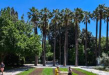 Καιρός σήμερα: Ανοιξιάτικο σκηνικό με μποφόρ στο Αιγαίο