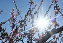 Καιρός σήμερα: Ηλιοφάνεια με λίγη συννεφιά – Βροχές σε περιοχές της Κρήτης