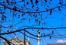 Καιρός αύριο: Λιακάδα με λίγες νεφώσεις – Πιθανότητα βροχών στα ηπειρωτικά