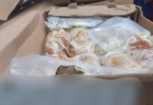 Νίκος Χαρδαλιάς: Κατάσχεση 3,5 τόνων ακατάλληλων κρεάτων – «Μηδενική ανοχή σε κυκλώματα που παίζουν με τη δημόσια υγεία»