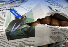 Κατασχέθηκαν σχεδόν 3.000 λαθραία πούρα Αβάνας αξίας 440.000 ευρώ στο αεροδρόμιο «Ελευθέριος Βενιζέλος»