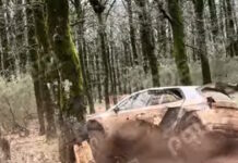 Ολυμπιακό Ράλλυ: Έχασε τον έλεγχο του οχήματος, έσκασε σε δέντρο και ακινητοποιήθηκε στη μέση της πίστας
