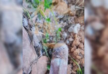 Πεύκη: Παιδιά που έπαιζαν σε οικοδομή βρήκαν οβίδα του Β’ Παγκοσμίου Πολέμου