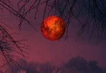 Σεληνιακή έκλειψη στις 03/03/2026: Πώς θα επηρεάσει τα 12 ζώδια