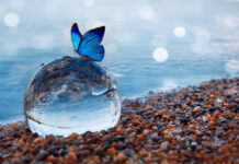 Φαινόμενο της πεταλούδας: Γιατί ό,τι κάνουμε έχει σημασία;