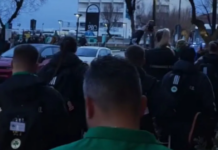 Παναθηναϊκός: Οπαδοί αποθέωσαν την αποστολή της ομάδας βόλεϊ γυναικών πριν τον πρώτο τελικό του Challenge Cup στην Ιταλία