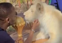 Σενεγάλη: Από τη στρατιωτική βάση στα λιοντάρια το τρόπαιο του Copa Africa