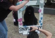 Παγκράτι: Ουρές σκυλιών για να βγάλουν το καλύτερο κλικ σε δωρεάν φωτογράφιση στην πλατεία Βαρνάβα