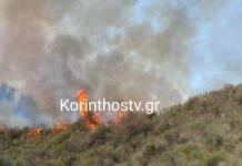 Φωτιά στα Σοφιανά Κορινθίας – Ισχυρές δυνάμεις στο σημείο