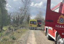 Τραγωδία στη Λαμία: 68χρονος καταπλακώθηκε από δέντρο και πέθανε μπροστά στα μάτια της γυναίκας του