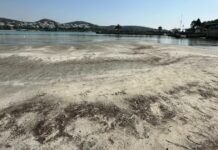 Περίεργο φαινόμενο στη Βουλιαγμένη: Υποχώρησε η θάλασσα και φάνηκε η στεριά