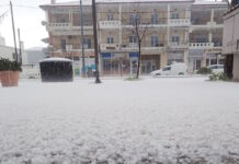 Κακοκαιρία Erminio: Ο Πολύγυρος Χαλκιδικής ντύθηκε στα λευκά από χοντρό χαλάζι