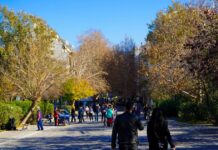 Meteo: Ο χειμώνας 2025-2026 είναι ο δεύτερος θερμότερος στην Ελλάδα από το 1960