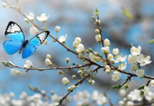Τα 4 ζώδια που θα πρωταγωνιστήσουν στις εξελίξεις τον Απρίλιο