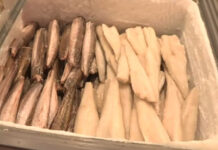 Μπακαλιάρος: Πόσο κοστίζει ενόψει 25ης Μαρτίου