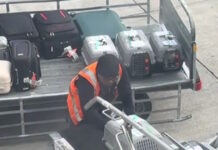 Αεροδρόμιο Ελευθέριος Βενιζέλος: Εργαζόμενος «έλιωσε» το ίντερνετ με την αξιολάτρευτη υποδοχή κατοικίδιων από τον χώρο αποσκευών αεροπλάνου