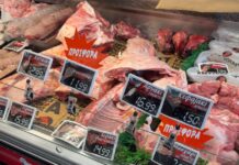 «Πουλάω μόνο ρουμάνικα αρνιά και κατσίκια» – «Η εκτίναξη των τιμών οδηγεί στην αγορά εισαγόμενων» λένε ιδιοκτήτες κρεοπωλείων