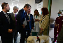 Κυριάκος Μητσοτάκης: Η γνωριμία του πρωθυπουργού με σκύλο θεραπείας στο νοσοκομείο «Μεταξά»