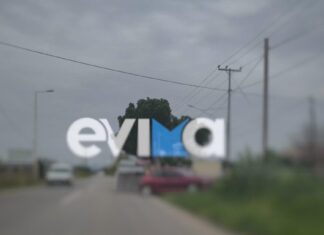 Τροχαίο στην Εύβοια: Αυτοκίνητο έπεσε πάνω σε μάντρα και σε δέντρο