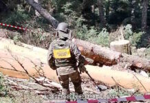 Ευρυτανία: Εντοπίστηκε χειροβομβίδα σε δάσος έξω από το χωριό Νόστιμο