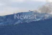 Συνελήφθη 51χρονος για τη φωτιά στην Άμπελο Αχαΐας – Σε εξέλιξη το πύρινο μέτωπο