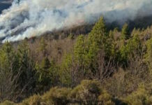 Φωτιά στη Λακωνία, κινητοποιήθηκαν 50 πυροσβέστες με 25 οχήματα