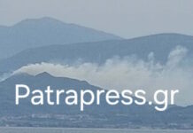 Αχαΐα: Σύλληψη ενός άνδρα για τη φωτιά στα Σελινιάτικα