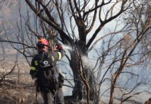 Συναγερμός στην Πολιτική Προστασία για τις 52 φωτιές μέσα στο Σαββατοκύριακο