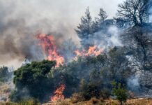 Φωτιά σε δασική έκταση στο Νεοχώρι Πηλίου – Επιχειρούν και εναέρια μέσα