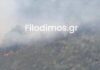 Φωτιά στο Αίγιο σε ορεινή περιοχή κοντά στο χωριό Αρραβωνίτσα