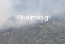 Φωτιά στο Αίγιο σε ορεινή περιοχή κοντά στο χωριό Αρραβωνίτσα